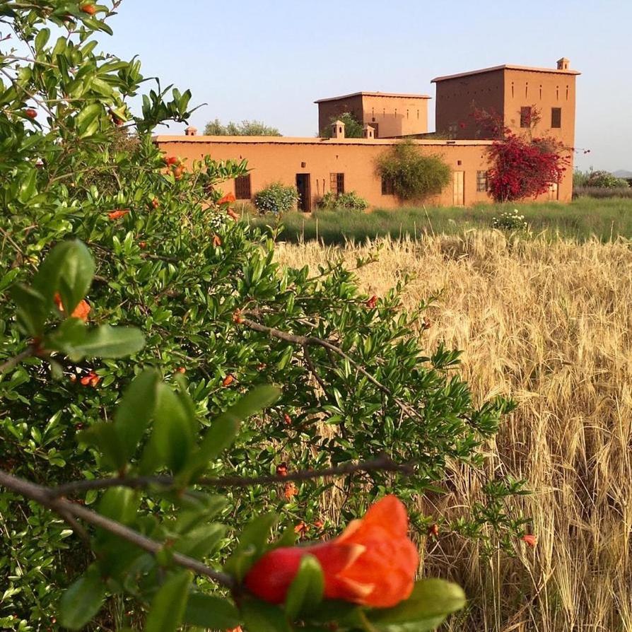 Dar Tasmayoun Aït Ourir Extérieur photo